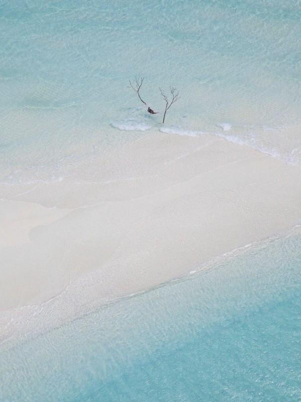 无限异常调查官TXT