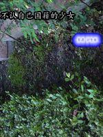 湘西赶尸人是哪个地方