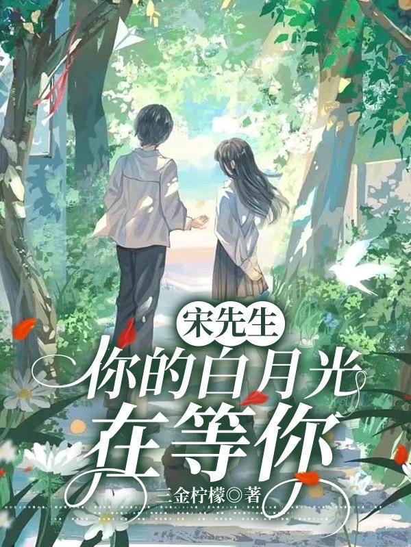 惹不起的双生子