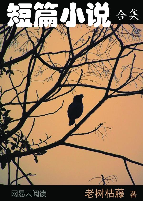 最强特种兵之龙刺笔趣阁