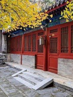 迹部哥哥是最强警探TXT