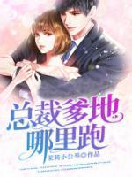 大明嫡长子起点