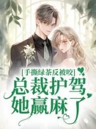 军婚八零军嫂是神医