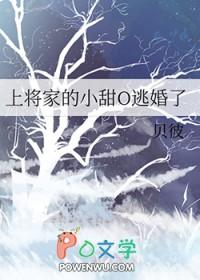 官场之绝对权力全本免费阅读