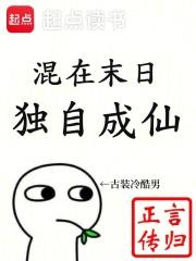 冷王的神秘贵妻