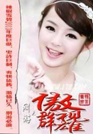 朱门贤妻简介内容