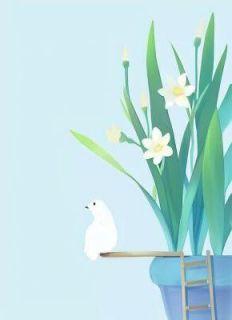 溺爱期免费阅读全文