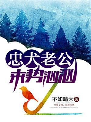 霹雳mit高清资源