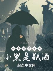 两块石头停止梦游