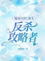 夺宠美人免费阅读无弹窗