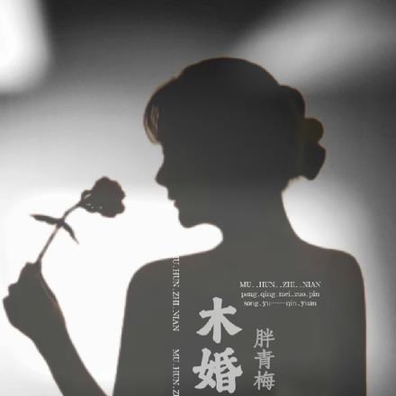 他是一个透明人讲什么