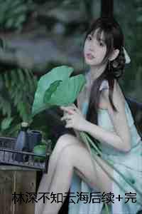 泡沫砖图片及价格