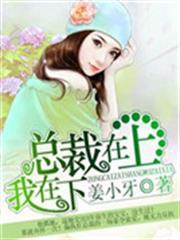 总裁在上我在下