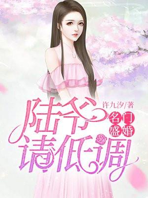 名门盛宠：陆爷，请低调！