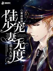重生八零：陆少宠妻无度
