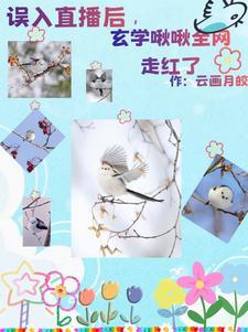 我，小金乌，后台大一点怎么了！