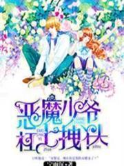 恶魔少爷杠上拽丫头